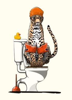 a cat sitting on top of a toilet with an orange rubber duck