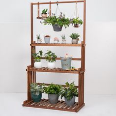 three tiered plant stand with potted plants on top and bottom shelf, against a white background