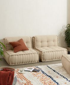 a living room with two couches and a potted plant on the floor next to it