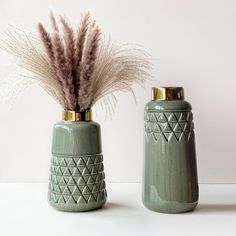 two vases with some plants in them sitting on a table next to each other