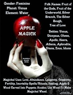 Apple Meaning Witchcraft, Apple Spiritual Meaning, Wiccan Knowledge, Lady Hecate, Spell Writing, Candle Meanings, Lady Lilith, Witchcraft Meaning, Magical Herbs Witchcraft