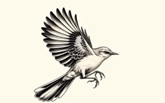 a black and white drawing of a bird with its wings spread out, flying in the air