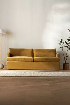 a living room with a yellow couch and potted plant on the floor next to it