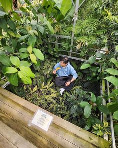 a man sitting on top of a wooden bench surrounded by lush green trees and plants