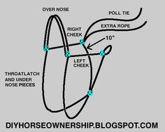 a diagram showing how to use the right side of a horse's bridle