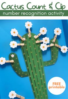 the cactus count and clip number recognition activity