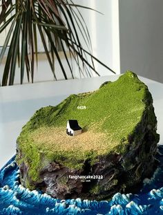 a rock covered in green moss sitting on top of a blue and white table cloth