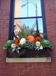 a window sill with pumpkins, gourds and other flowers in it