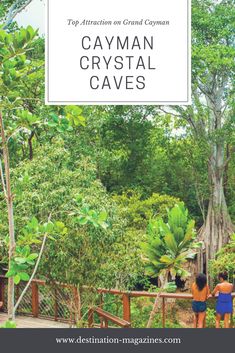 two people standing on a bridge in the woods with text overlay that reads top attraction on grand canyon cayman crystal caves