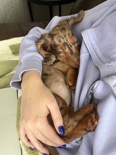 a person holding a small dog in their lap