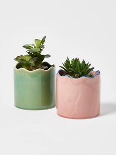 two potted plants sitting next to each other on a white surface with one plant in the middle