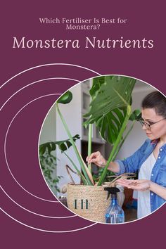 a woman holding a plant in front of a purple background with the words monstera nutriennts