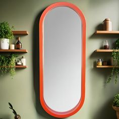 a mirror on the wall next to shelves with potted plants