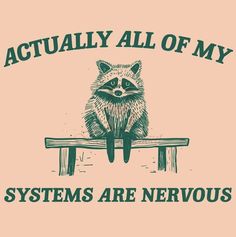 a raccoon sitting on top of a bench with the words, actually all of my systems are nervouss