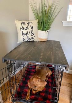 a dog laying in a cage on top of a wooden table next to a pillow