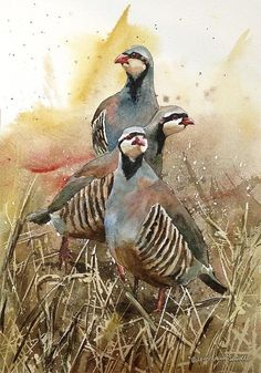 two birds are standing in the tall grass by watercolor paint on paper, and one bird has its head turned to the side