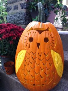 an owl pumpkin carved to look like it has been carved into the shape of a pumpkin