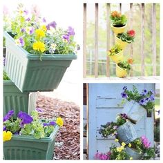 four different pictures of flower pots with flowers growing out of them and hanging from the sides