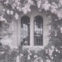 an old window surrounded by flowers and vines