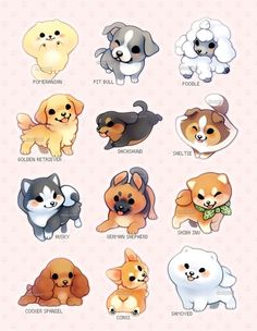 a bunch of small dogs that are all different colors and sizes, with the names on them