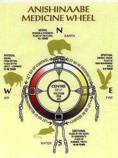 an info sheet with animals and their names on it's front cover, including the center section for each animal