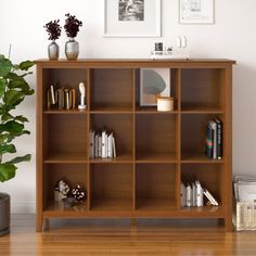 a wooden shelf with books and plants on it