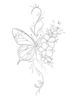 a drawing of a butterfly with flowers on it's back end and wings spread out