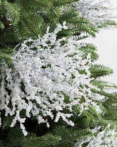 white snow flakes on the branches of a christmas tree