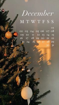 a christmas tree with ornaments hanging from it's branches in front of a window