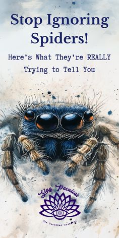 Often misunderstood as sinister, these creatures act as our animal symbolism allies. Through their delicate webs, they maintain balance by keeping pesky pests away. They’re not just creatures of the night but guides, protectors, and symbols of hidden truths waiting to be explored. Curious about spider symbolism and its spiritual meaning? Learn what it means to see spiders like the black widow, jumping spider, wolf spider, and orb weaver—whether they’re black, white, brown, red, yellow, or green. Discover spider meanings in mythology, folklore, and numerology, plus ideas for spider tattoos and their connection to witchcraft. Wondering if seeing spiders in dreams is good or bad luck? Find all the answers here, backed by credible sources!