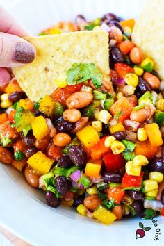 a hand holding a tortilla chip with beans and vegetables