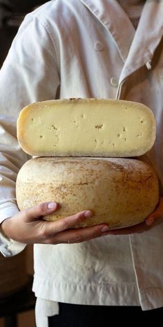 a person holding a piece of bread in their hands