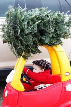 a young boy driving a red car with a tree on top