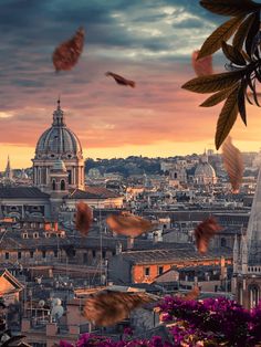 the city is full of birds flying over it's rooftops and buildings at sunset