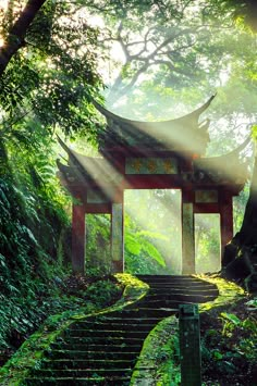 the sun shines through the trees and onto some steps leading up to a pagoda