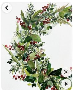 watercolor painting of evergreen branches and berries on white paper with numbers 3 - 8