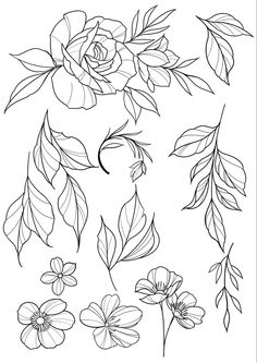 flowers and leaves are drawn in black ink