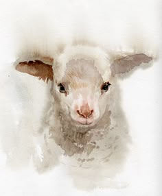 an image of a baby lamb painted in watercolors on the app store's facebook page