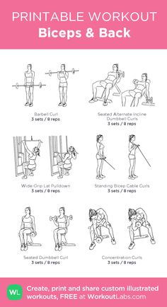 the printable workout guide for beginners to learn how to do squats and pull ups