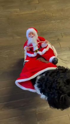 a black dog laying on top of a wooden floor next to a santa clause costume