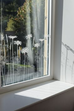 the sun shines through a window with white flowers in front of it on a sunny day