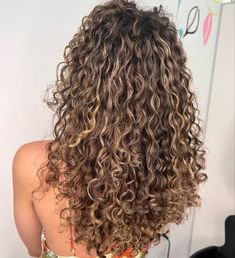 Strawberry Blonde Highlights Brown Hair Curly, Curly Hair Carmel Lights, Light Brown On Curly Hair, Light Brown Curly Hair Color Ideas, Curly Blonde And Brown Hair, Dark Hair Highlights Curly, Highlights On Light Brown Curly Hair, Natural Highlights Curly Hair, Balayage Hair Curly Hair