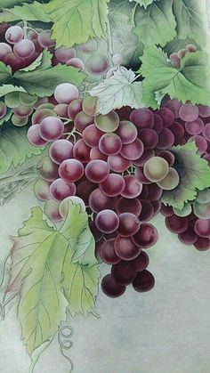 a painting of grapes with green leaves