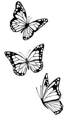 three black and white butterflies flying in the air with their wings spread out to look like they