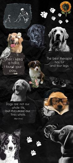 A wallpaper about dogs, vintage black and white aesthetic Dogs Paw Wallpaper, Pet Lover Wallpaper, Dog Lovers Aesthetic, Dark Dog Wallpaper, I Love Dogs Wallpaper, Dog Quotes Wallpaper, Dog Paw Wallpaper Aesthetic, Dog Paw Aesthetic, Dogs Aesthetic Dark