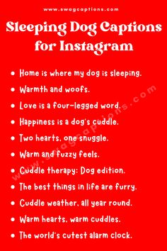 Sleeping Dog Captions for Instagram Sleepy Dog Quotes, Dog Sleeping Quotes, Dog Captions For Insta, Dog Love Quotes, Captions For Instagram Cute, Dog Captions, Captions For Pictures, Dog Instagram Captions, Instagram Captions For Pictures