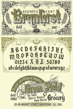 typography font
vintage font
victorian font
display font
label font
branding 
poster
logo type
lettering
letterhead
fancy font Elegant Signage, Heading Design, Letter Logotype, Design Flyers, Blackletter Font, Creative School Project Ideas, Sign Painting