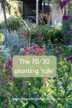 the 70 / 30 planting's rules are in full bloom