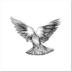 a black and white drawing of a bird with its wings spread out in the air