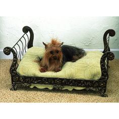 Iron Pet Bed - Faux Antique Brass Iron Sleigh Bed for your Fur Baby - Decorative Iron Dog Bed | oak7west.com Iron Dog Bed, Dog Sleigh, Beds Frames, Dog Bed Frame, Dog Bed Modern, Puppy Beds, Iron Accents, Sleigh Bed, Bed Modern